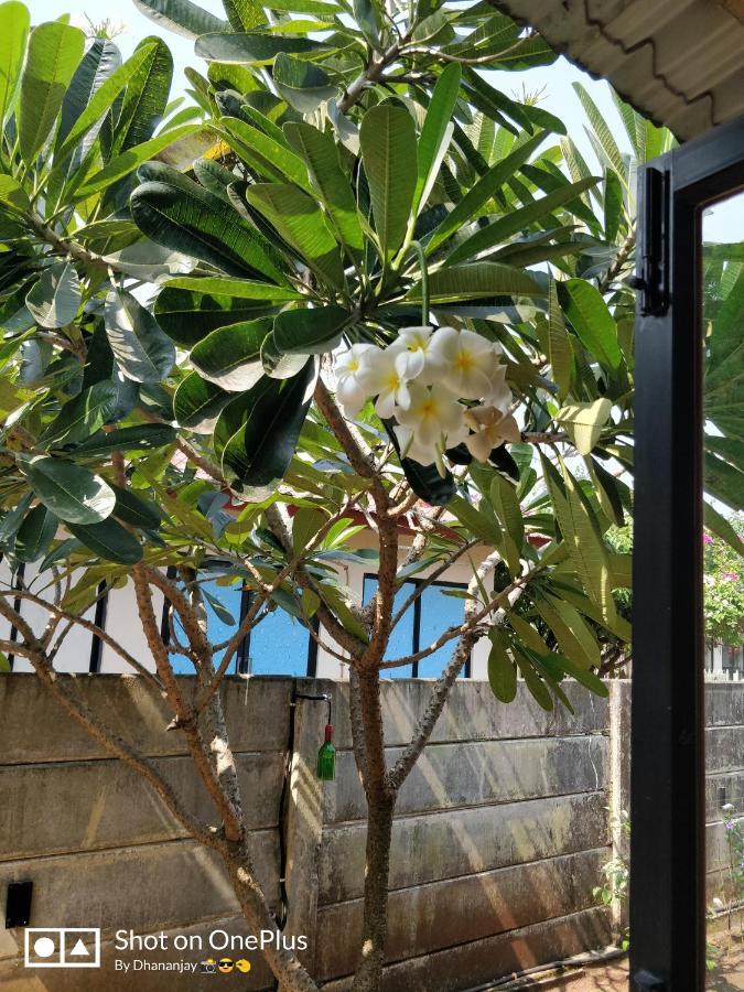 Chalet Casa Amor, Perfect Home Amidst Tranquility Karjat Exteriör bild